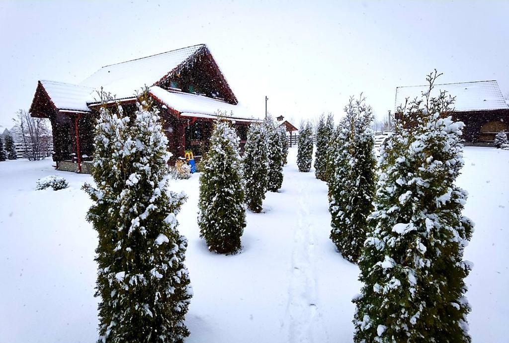 La Casute Bran Villa Bran  Dış mekan fotoğraf