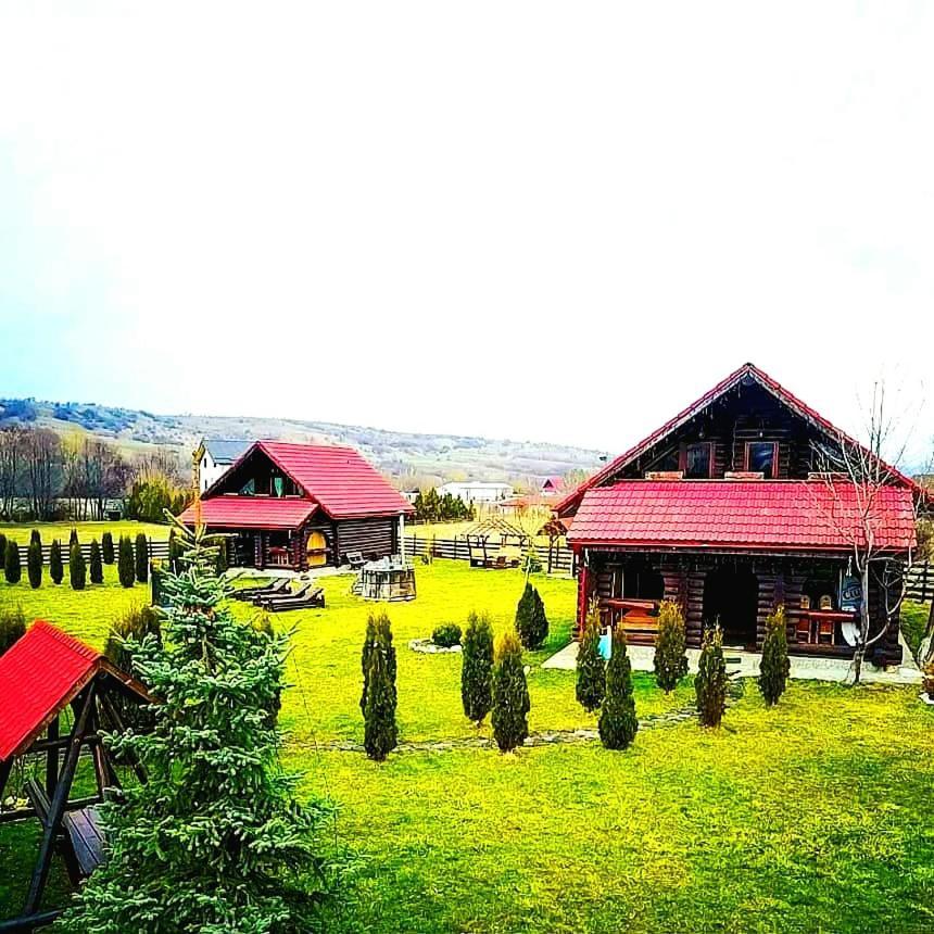 La Casute Bran Villa Bran  Dış mekan fotoğraf
