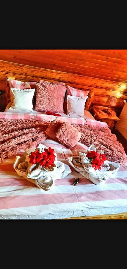 La Casute Bran Villa Bran  Dış mekan fotoğraf