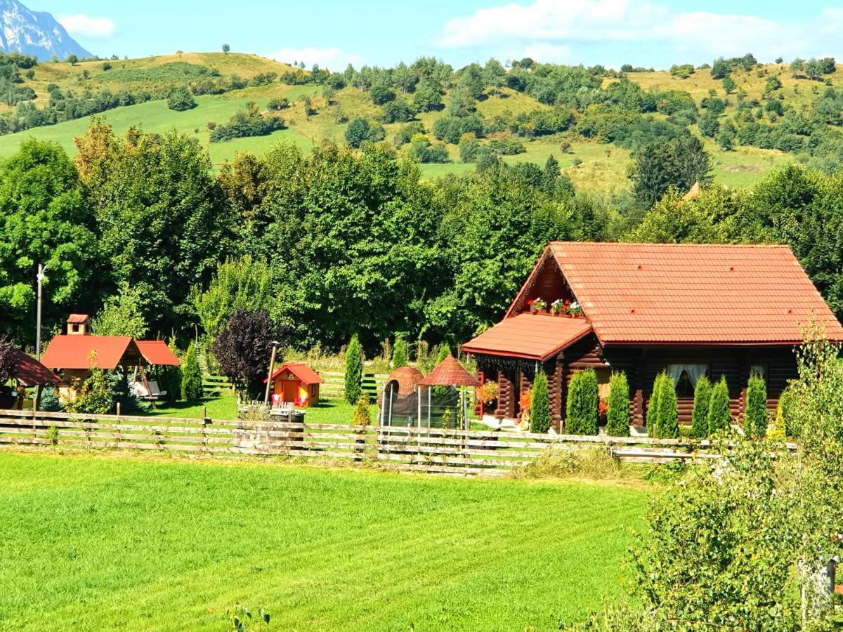 La Casute Bran Villa Bran  Dış mekan fotoğraf
